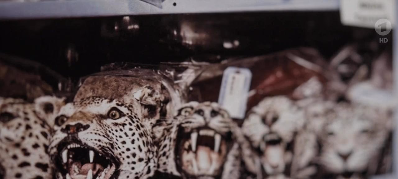 Wie schreibe ich fotografiert?