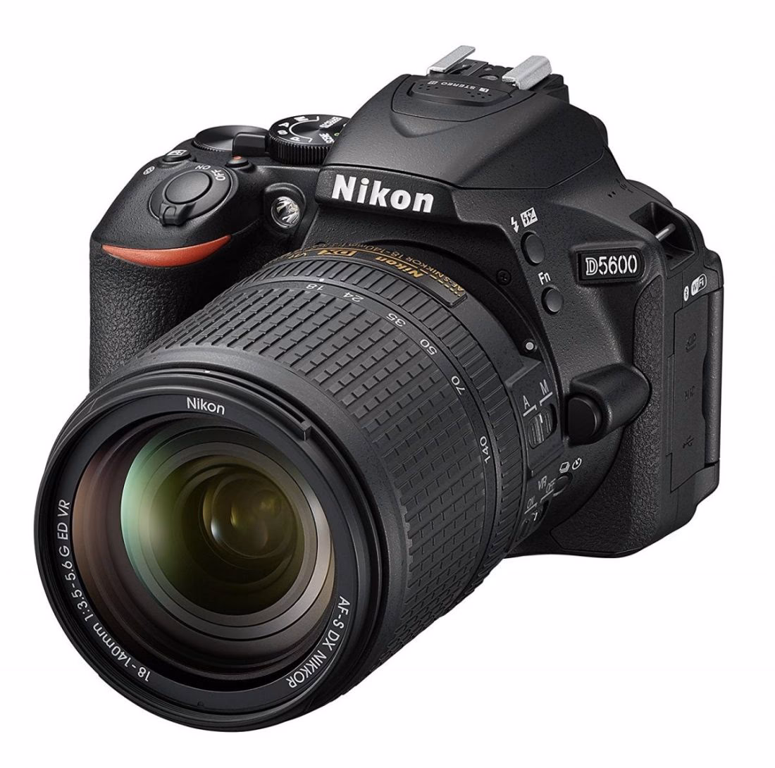 Ist die Nikon D5600 für professionelle Fotografie geeignet?