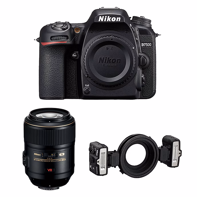 Was ist der P-Modus der Nikon D7500?