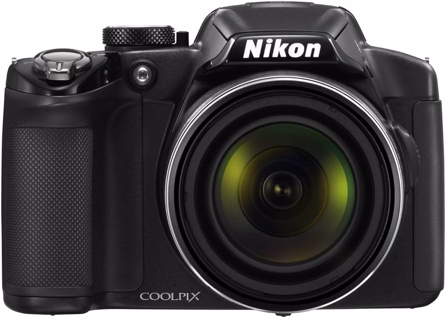 Was kostet die Nikon l22?