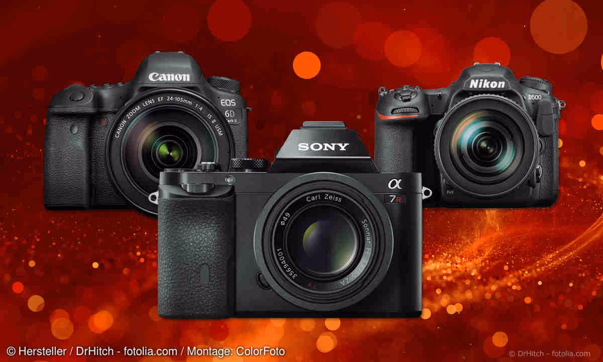 Welche Nikon-Kamera kam 2018 heraus?