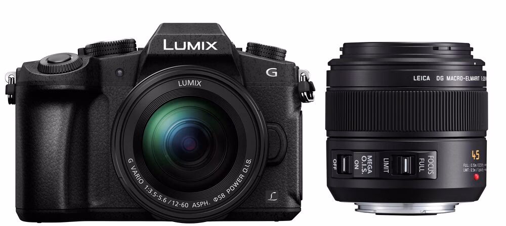 Welches Objektiv für Lumix G81?