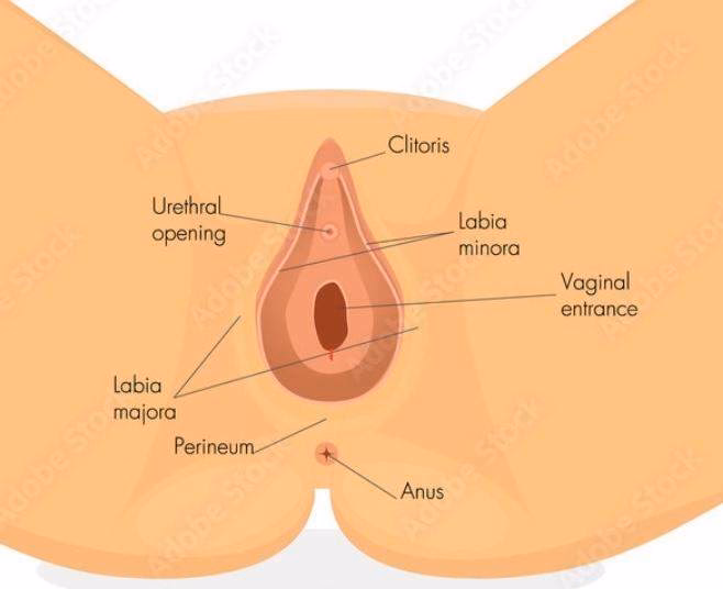 Wann gilt man als keine Jungfrau mehr?