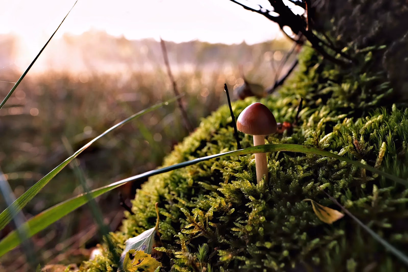 Wie zeigt man Perspektive in der Fotografie?