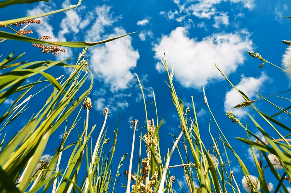 Welche Perspektiven gibt es auf Fotos?
