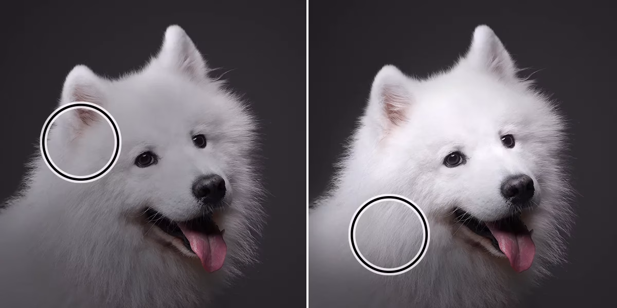 Gibt es in Photoshop ein Aufhellungswerkzeug?