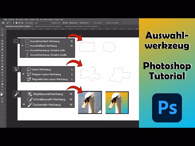Wo finde ich das Objektauswahlwerkzeug in Photoshop?
