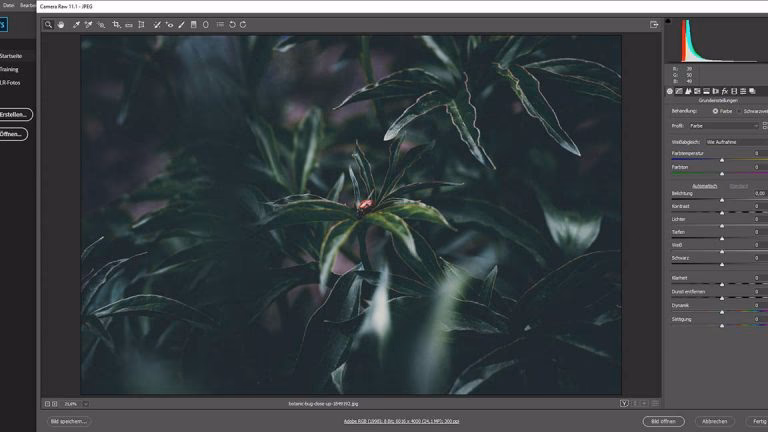 Wie kann ich bestimmte Bereiche in Photoshop aufhellen?