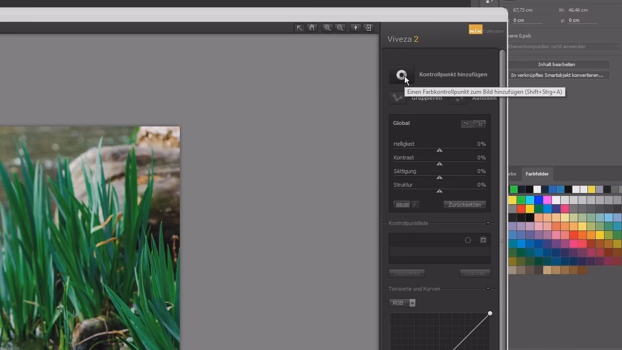Warum wird die Nik Collection in Photoshop nicht angezeigt?