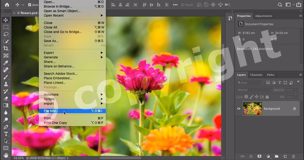Was ist ein Copyright-Hinweis in Photoshop?