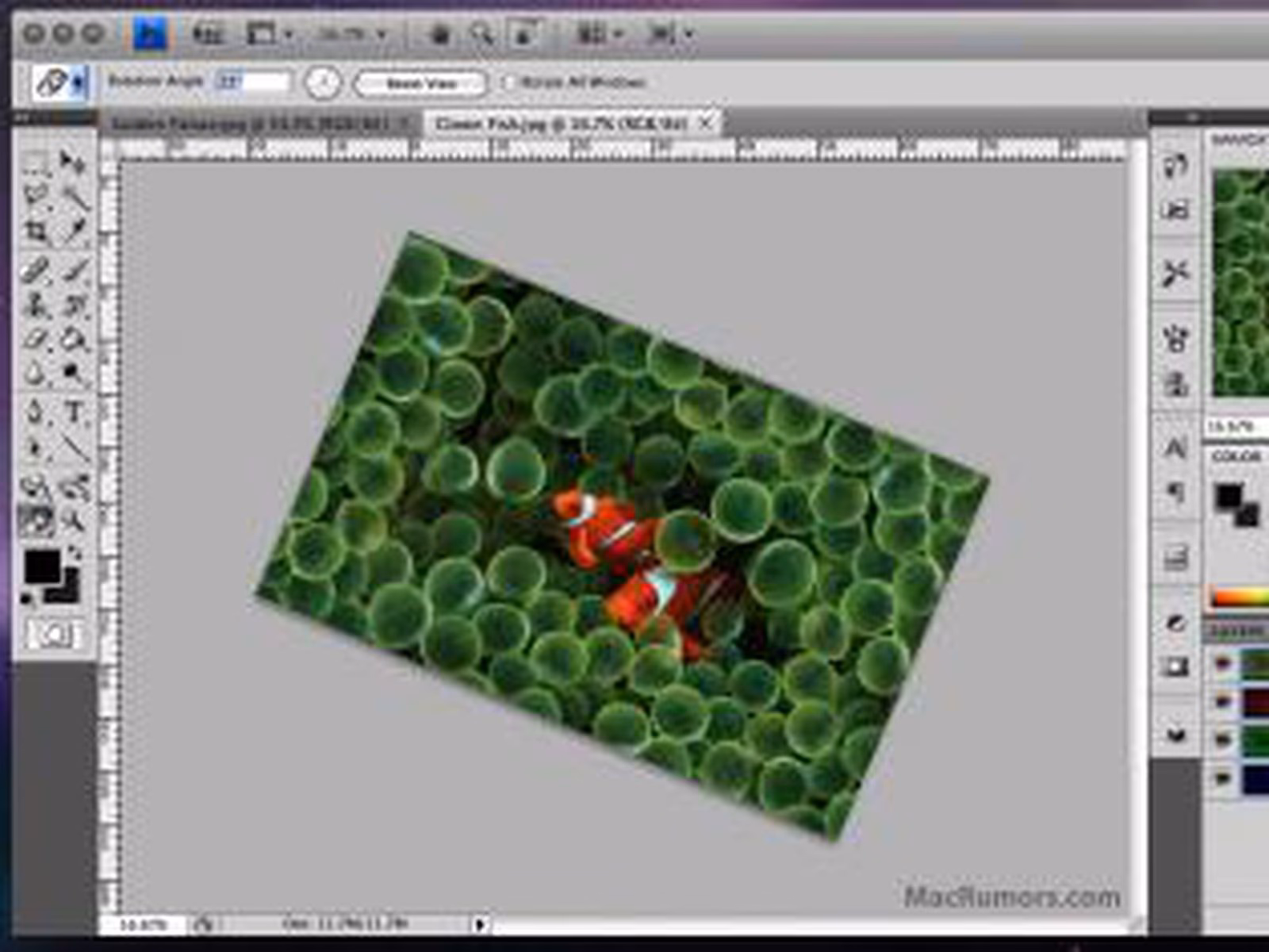 Wo ist das Wischfingerwerkzeug in Photoshop?
