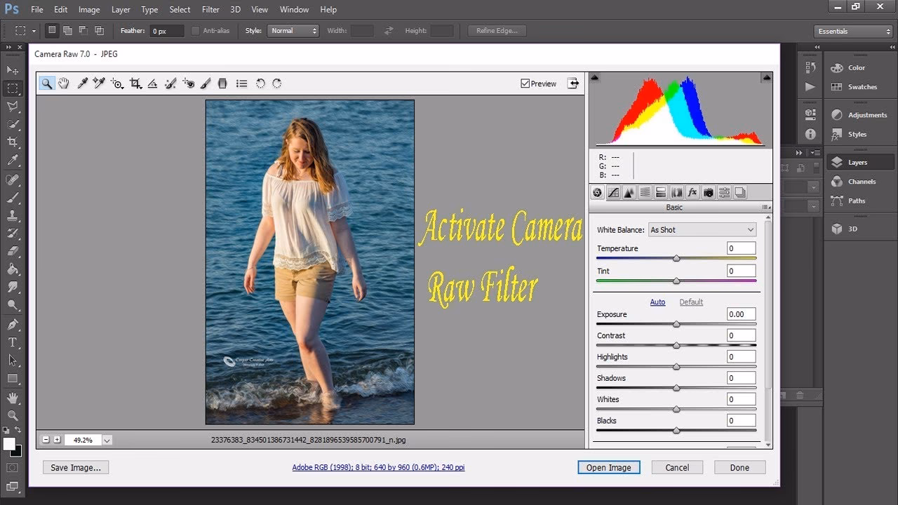 Wie erhalte ich Camera Raw in Photoshop CS6?