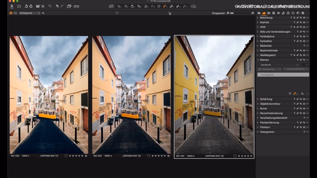 Wie viele Ebenen können in Capture One auf einem einzelnen Bild erstellt werden?