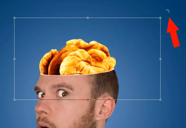 Wie kann ich ein Objekt in Photoshop drehen?