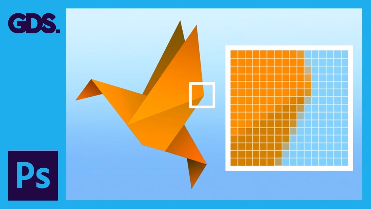 Should I use vector or raster?