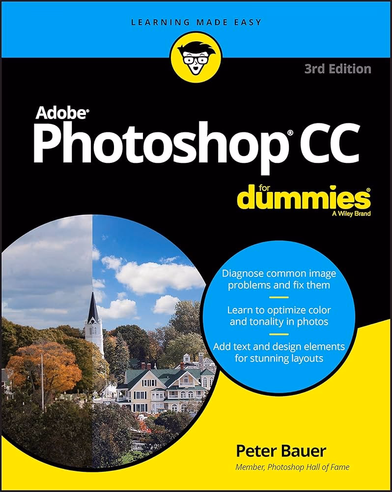Gibt es ein Photoshop für Dummies?