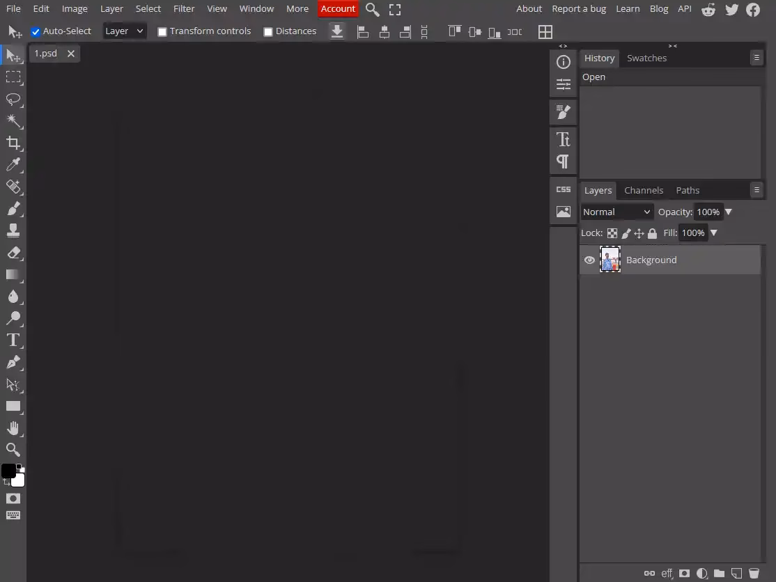 Funktioniert Photoshop mit dem Internet?