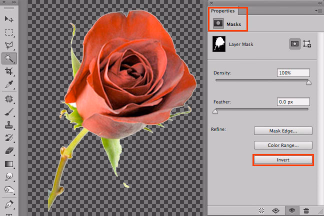 Wie speichere ich in Photoshop eine PDF-Datei mit transparentem Hintergrund?