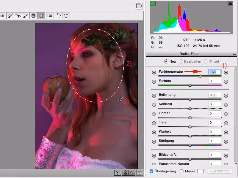 Wie öffne ich den Camera Raw-Konverter in Photoshop?