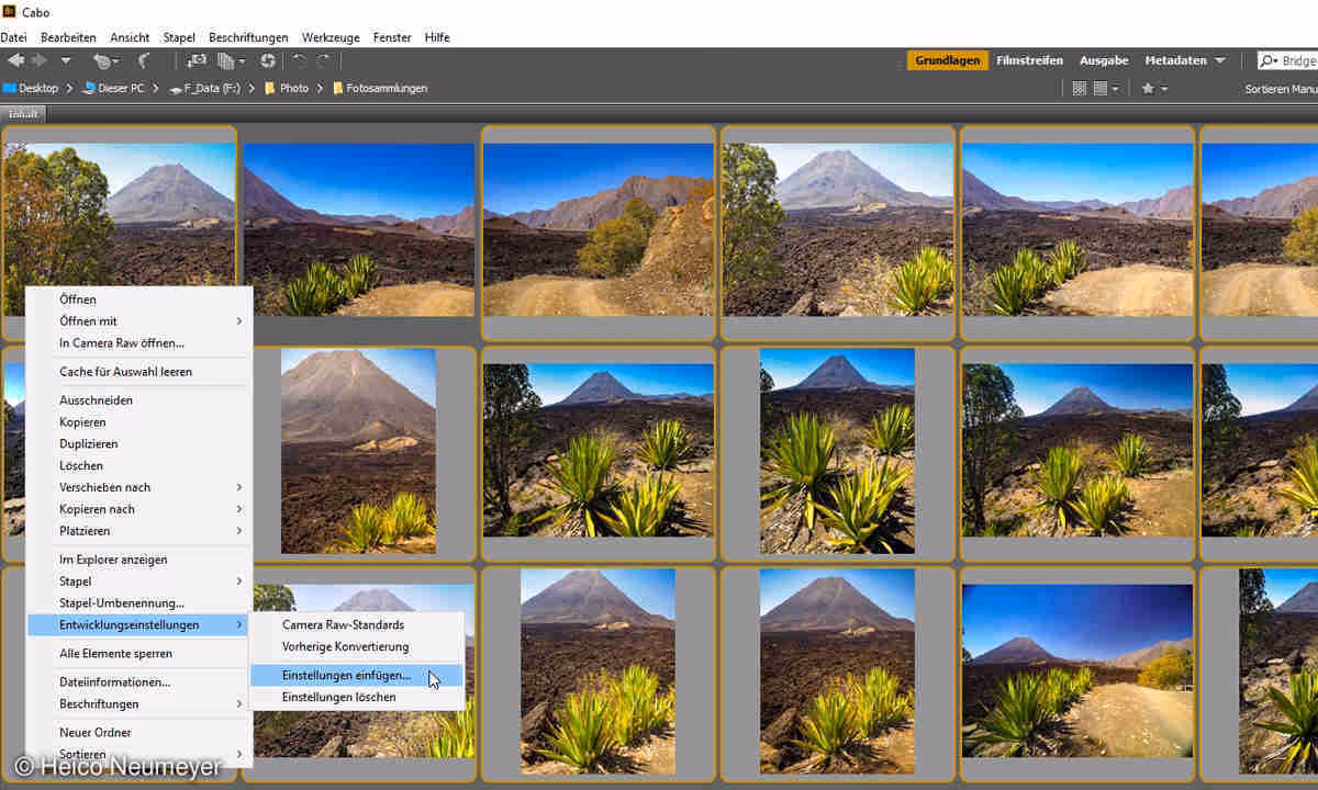 Können Sie in Camera Raw Stapelbearbeitungen durchführen?