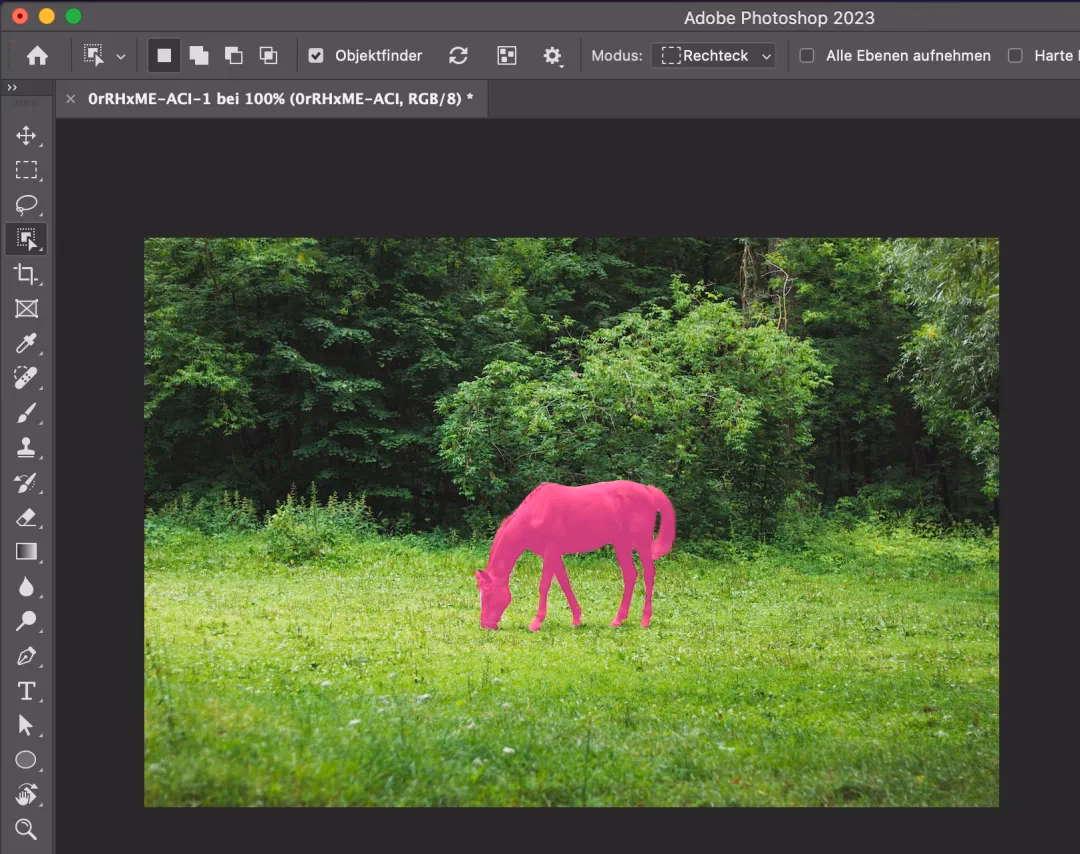 Wie schneidet man in Photoshop ein Rechteck aus?