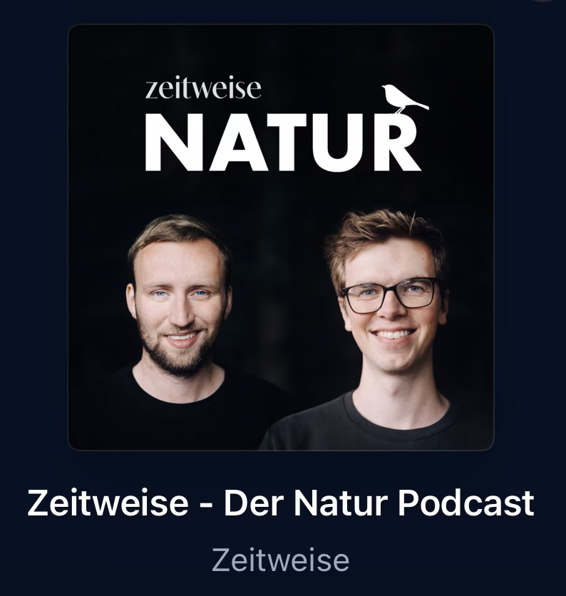 Sind Podcasts ohne Bild?