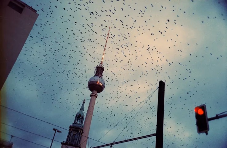 Kann ein Bild poetisch sein?