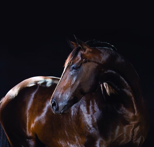 Wie hieß Polo Hofer früher?