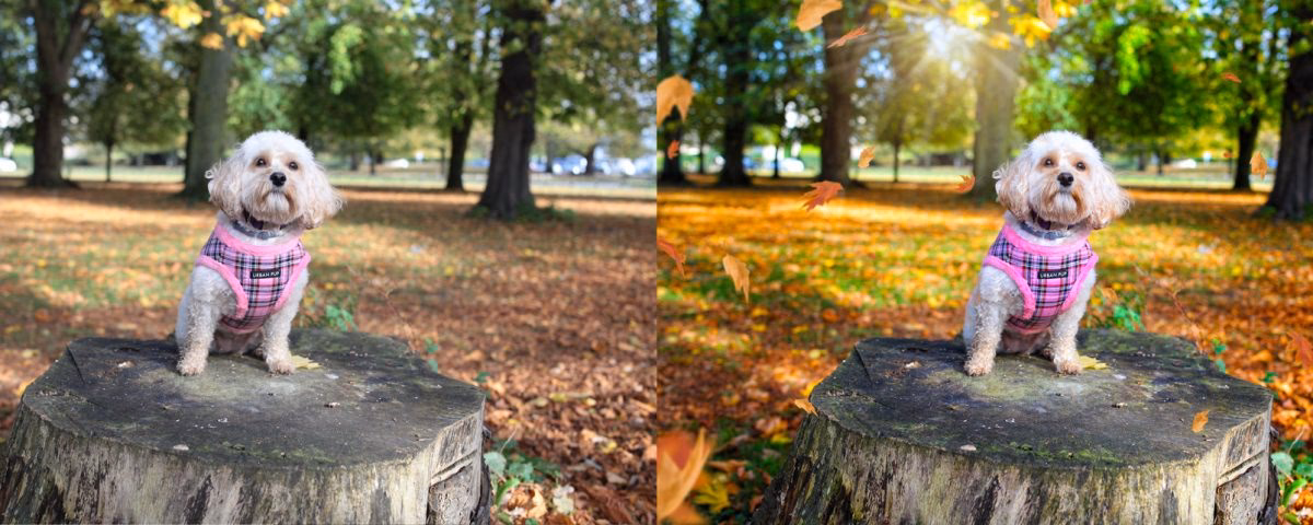 Was ist die Postproduktion von Fotografien?