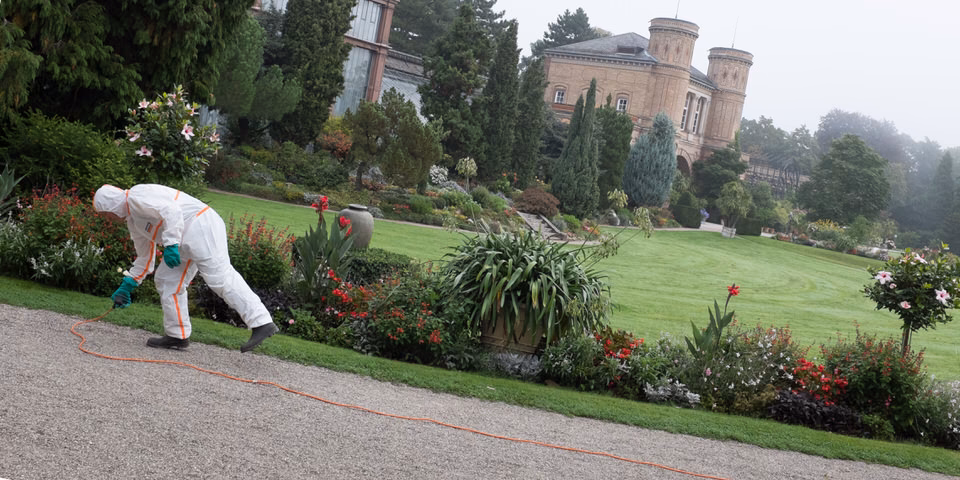 Was bedeutet Schnappschuss in der Fotografie?