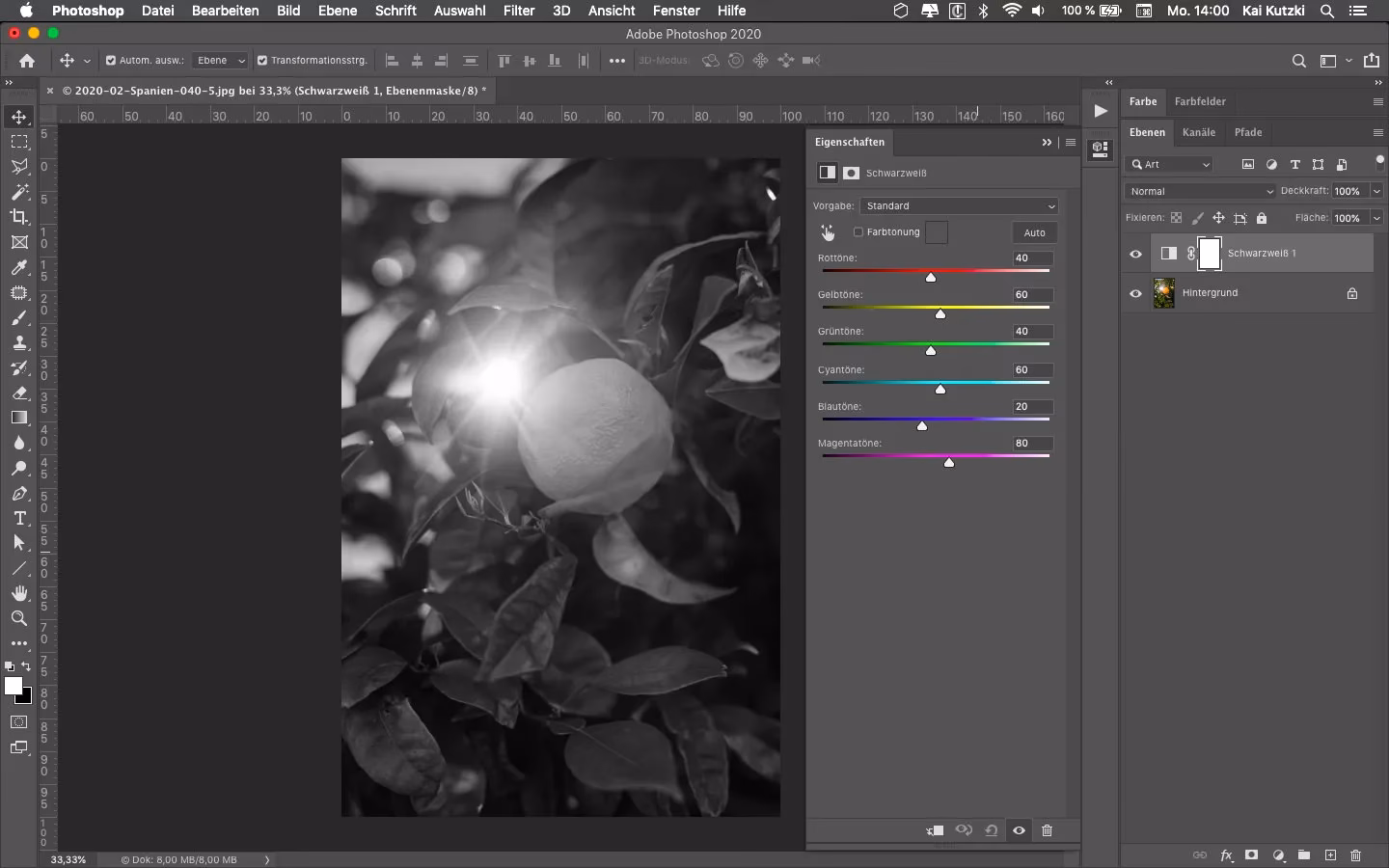 Wie kann ich ein Schwarzweißbild bearbeiten?
