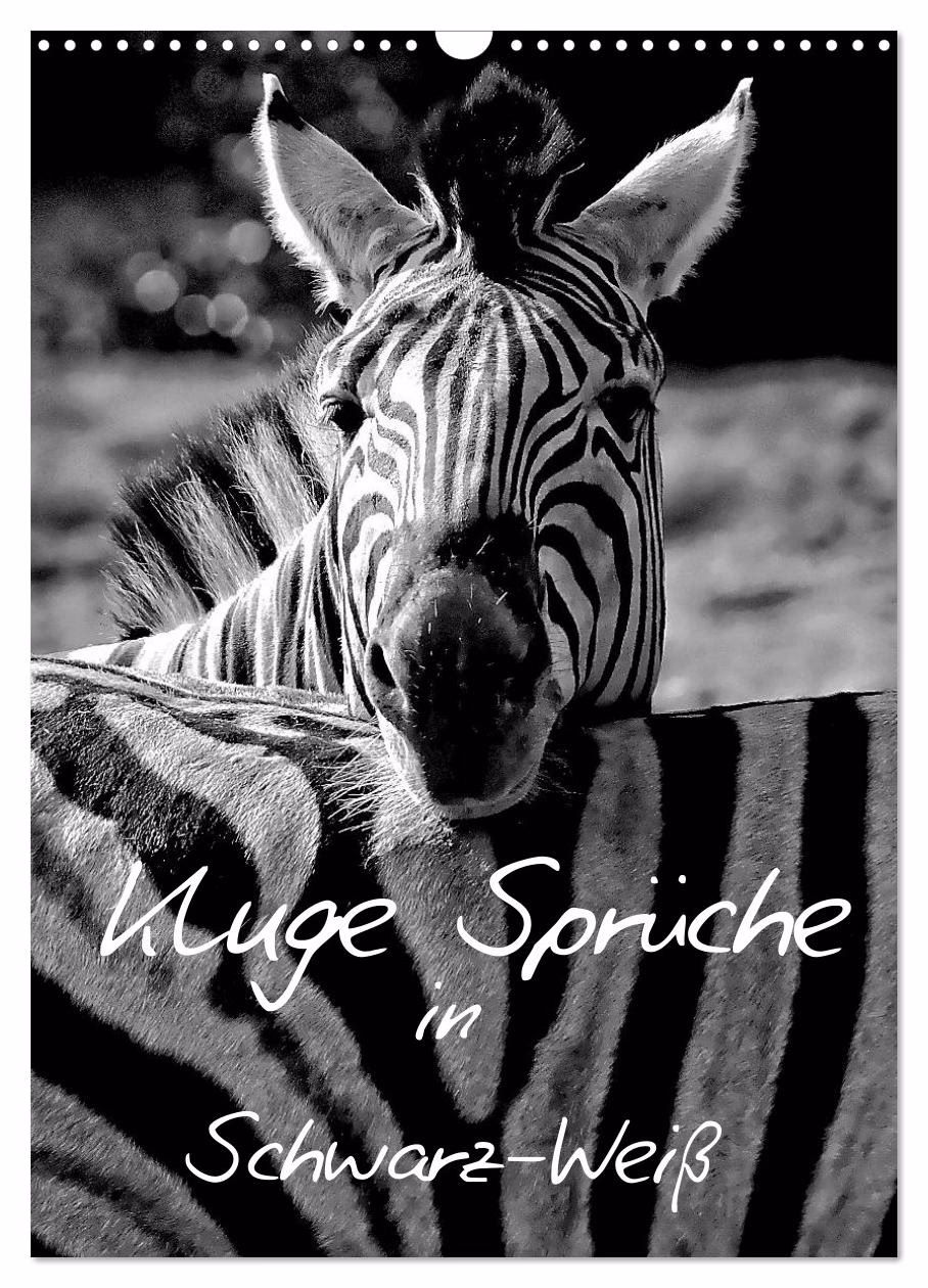 Wie schreibt man schwarz-weiße Fotografie?