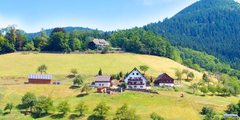 Was kostet eine Ferienwohnung im Schwarzwald?