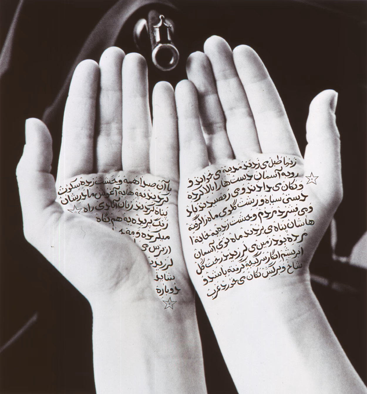 Welche Techniken verwendet Shirin Neshat?