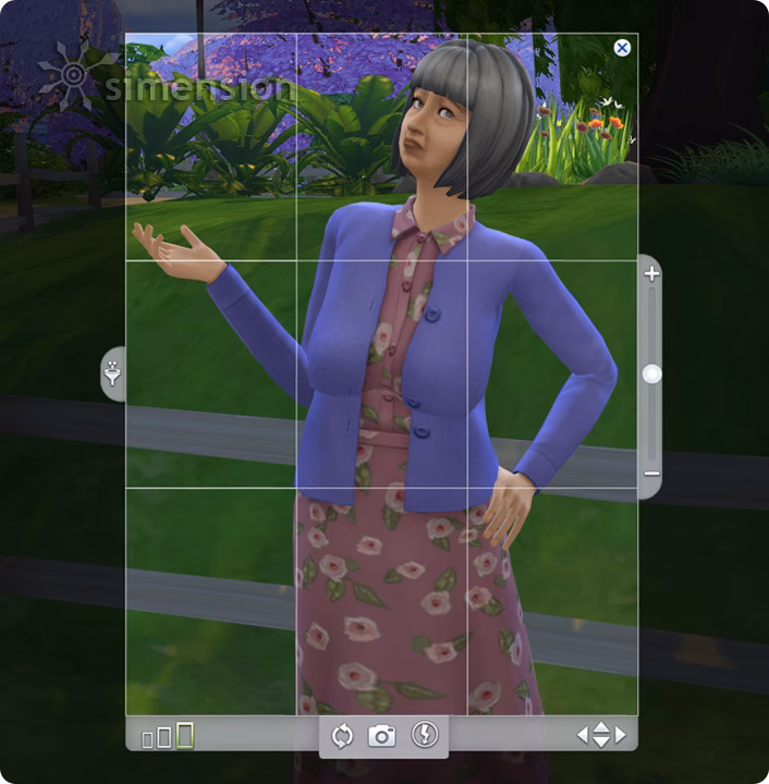 Gibt es in Sims 4 ein Buch mit Fotografie-Fähigkeiten?