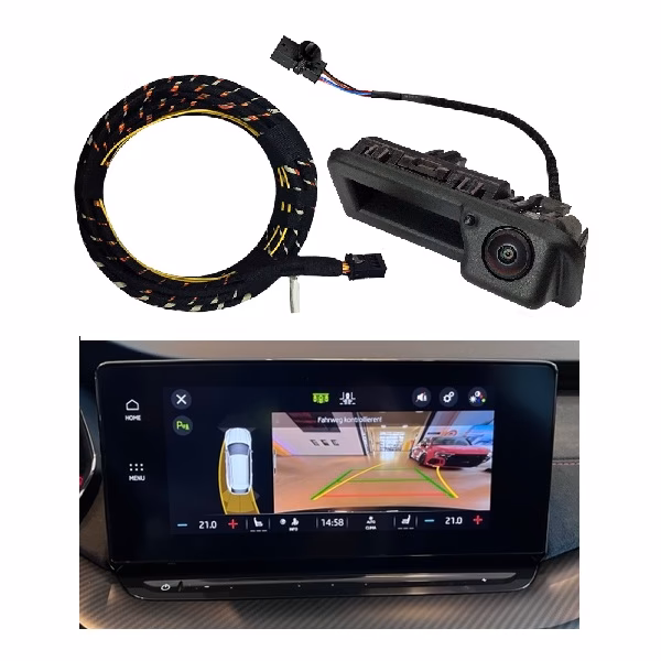 Was ist das häufigste Problem bei einem Skoda Octavia?