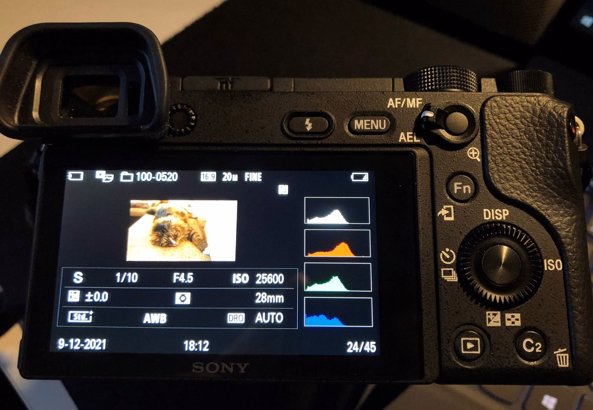 Wie kann ich den Dateinamen in einer Sony-Kamera sehen?