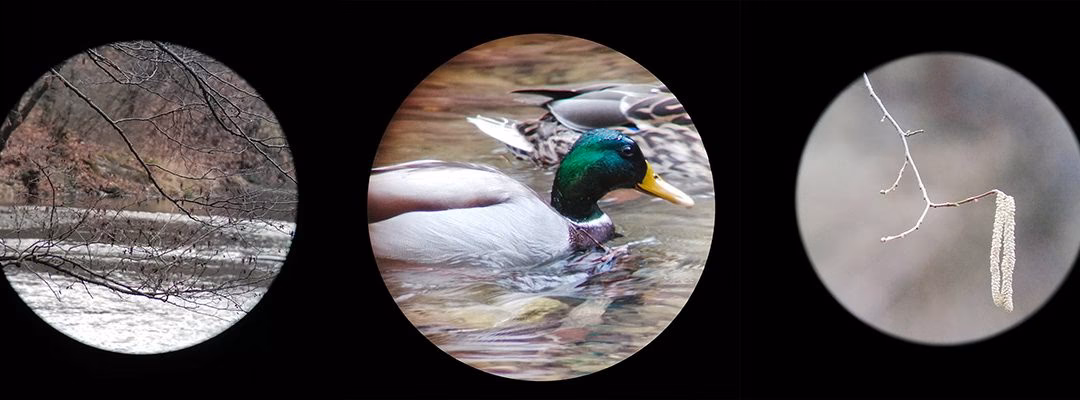 Kann man mit einem Spektiv Fotos machen?