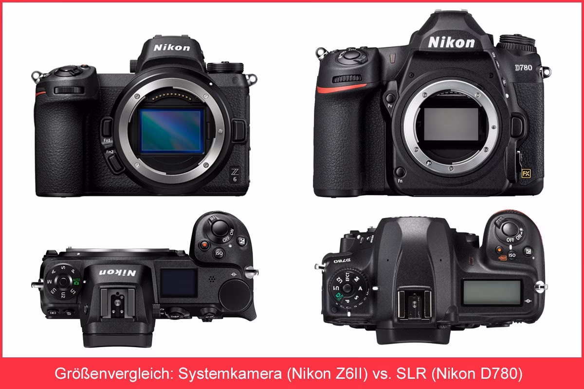 Welche Kamera ist für Anfänger am besten geeignet, Canon oder Nikon?