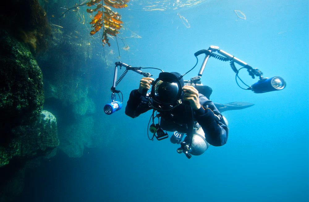 Wie viel verdienen Unterwasserfotografen?