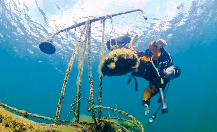 Wie wird man Tauchfotograf?