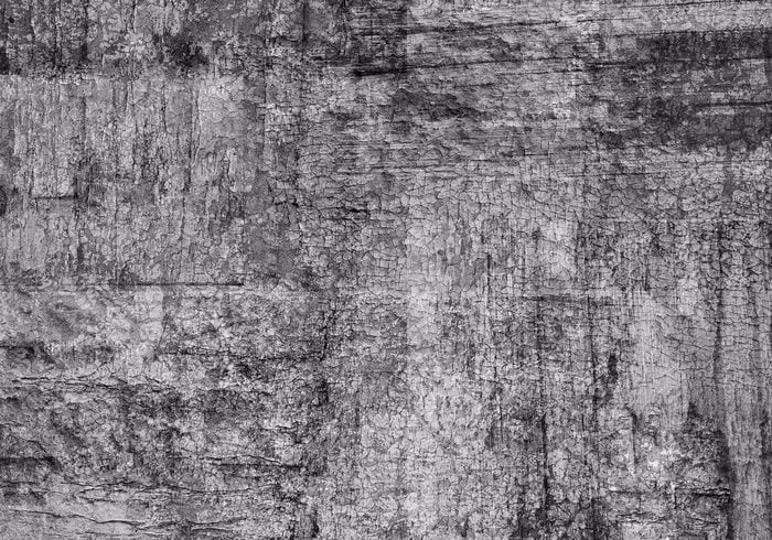 Wie füge ich Formen in Photoshop ein?