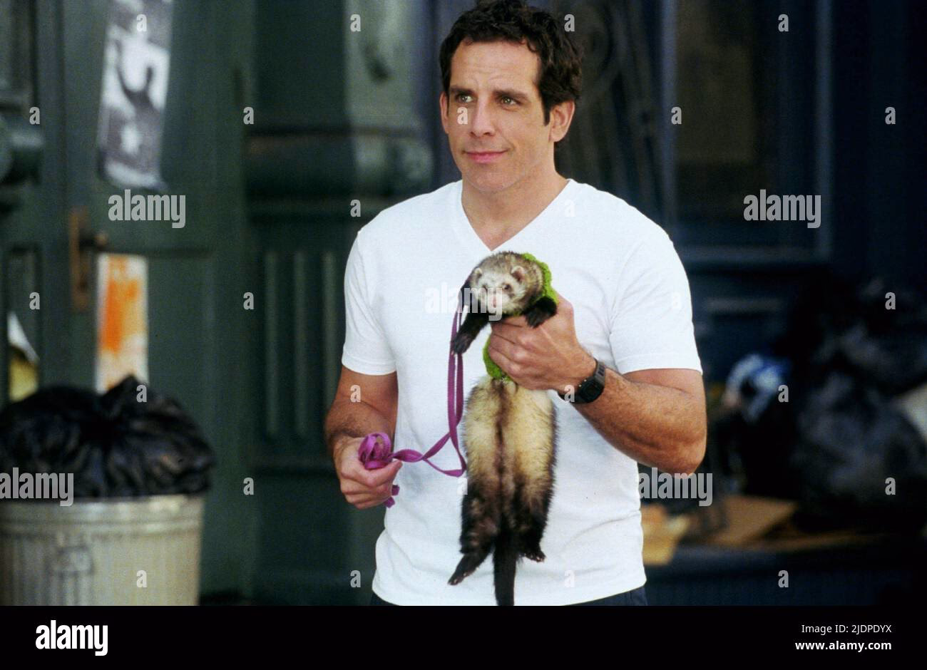 Gibt es in „… und dann kam Polly“ ein Frettchen?