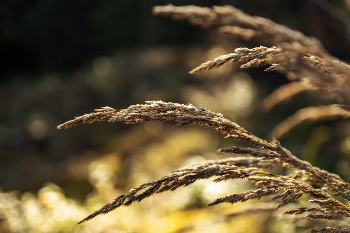 Was ist der Unterschied zwischen guter und schlechter Fotografie?
