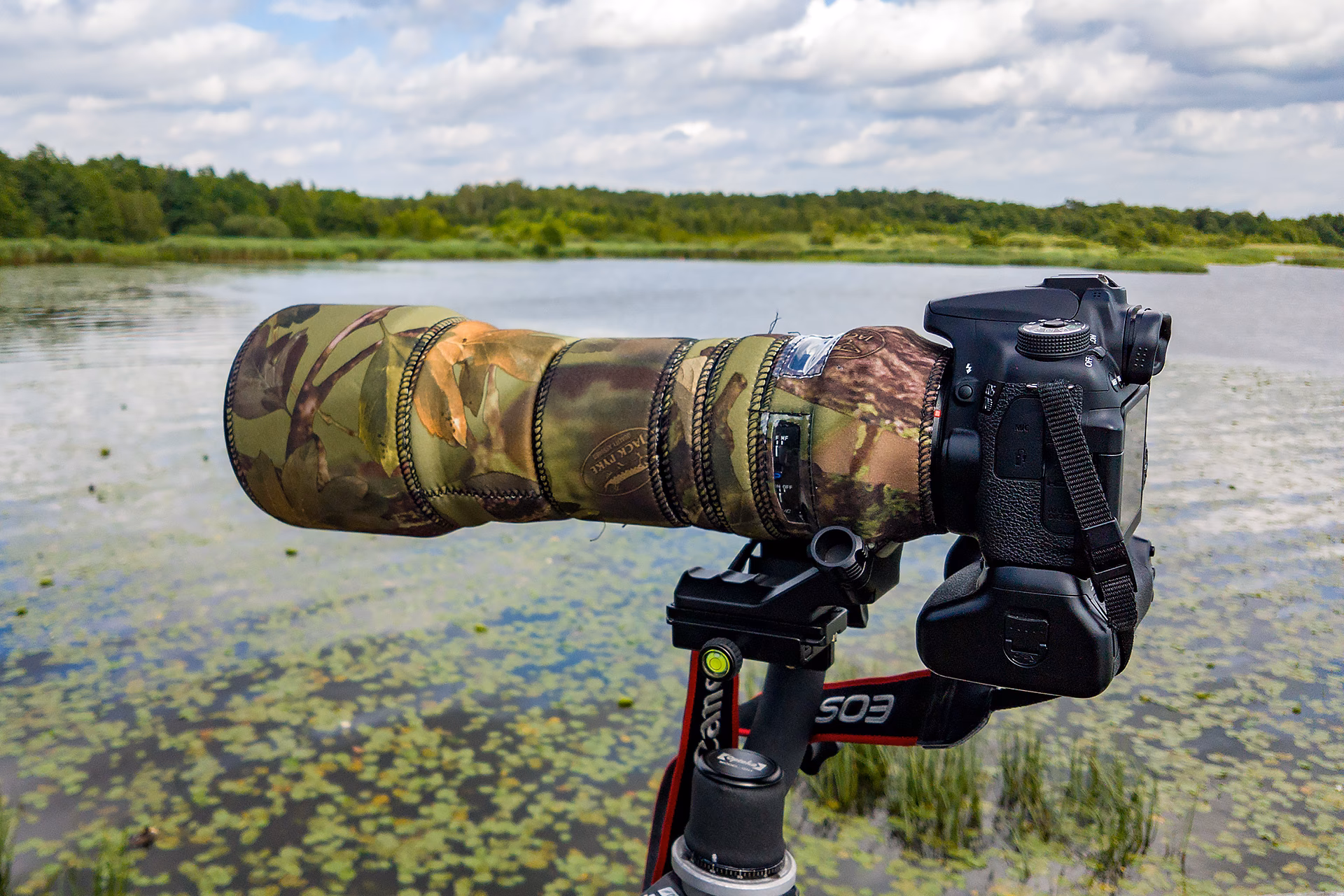 Welche Kamera eignet sich am besten für die Vogelfotografie?