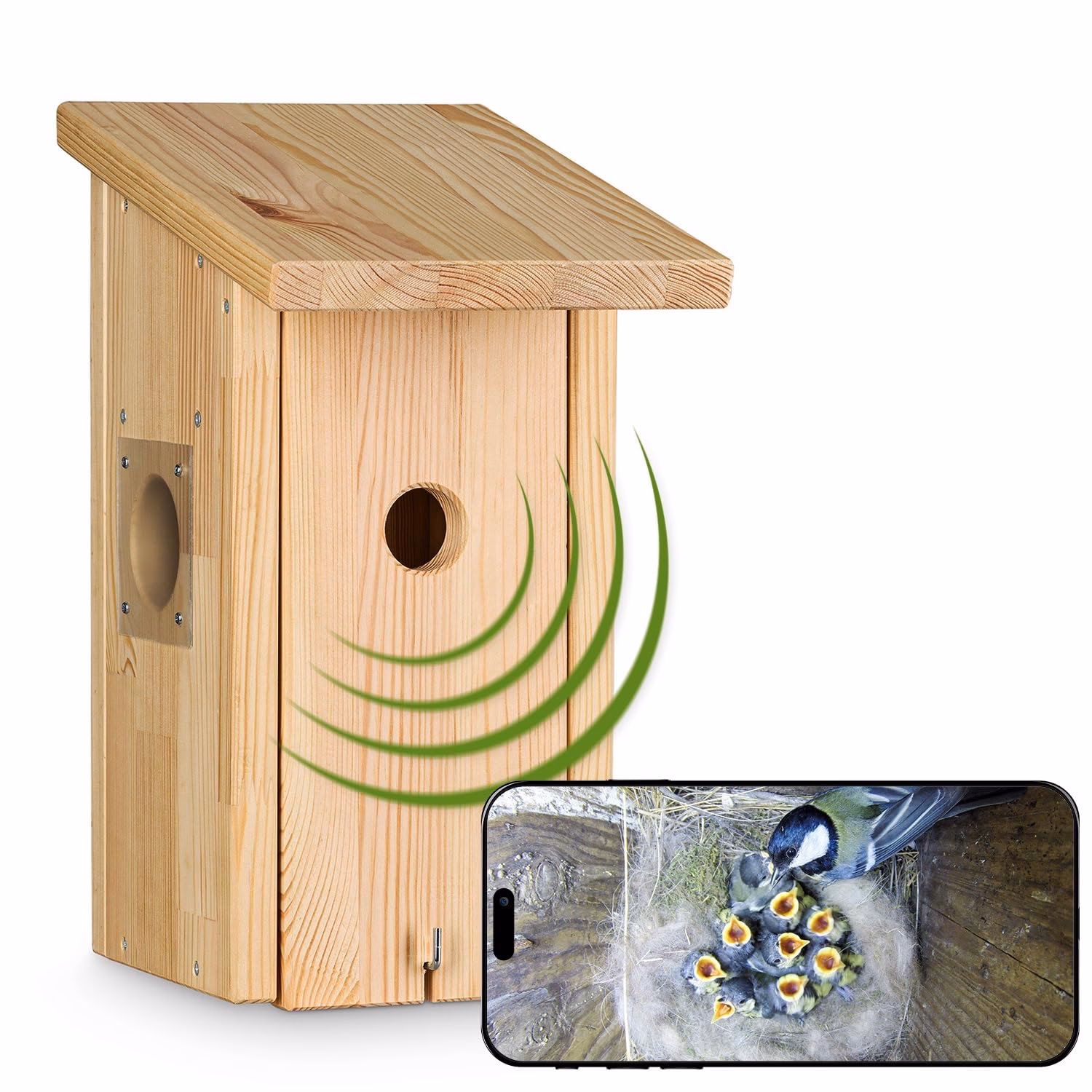 Welche Webcam für Vogelbeobachtung?