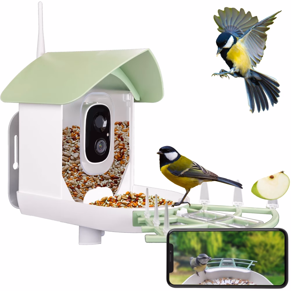 Welches Vogelhaus macht Sinn?