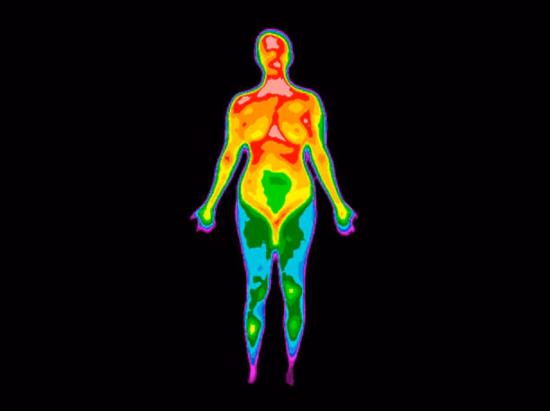 Was kostet eine Thermografie am Körper?