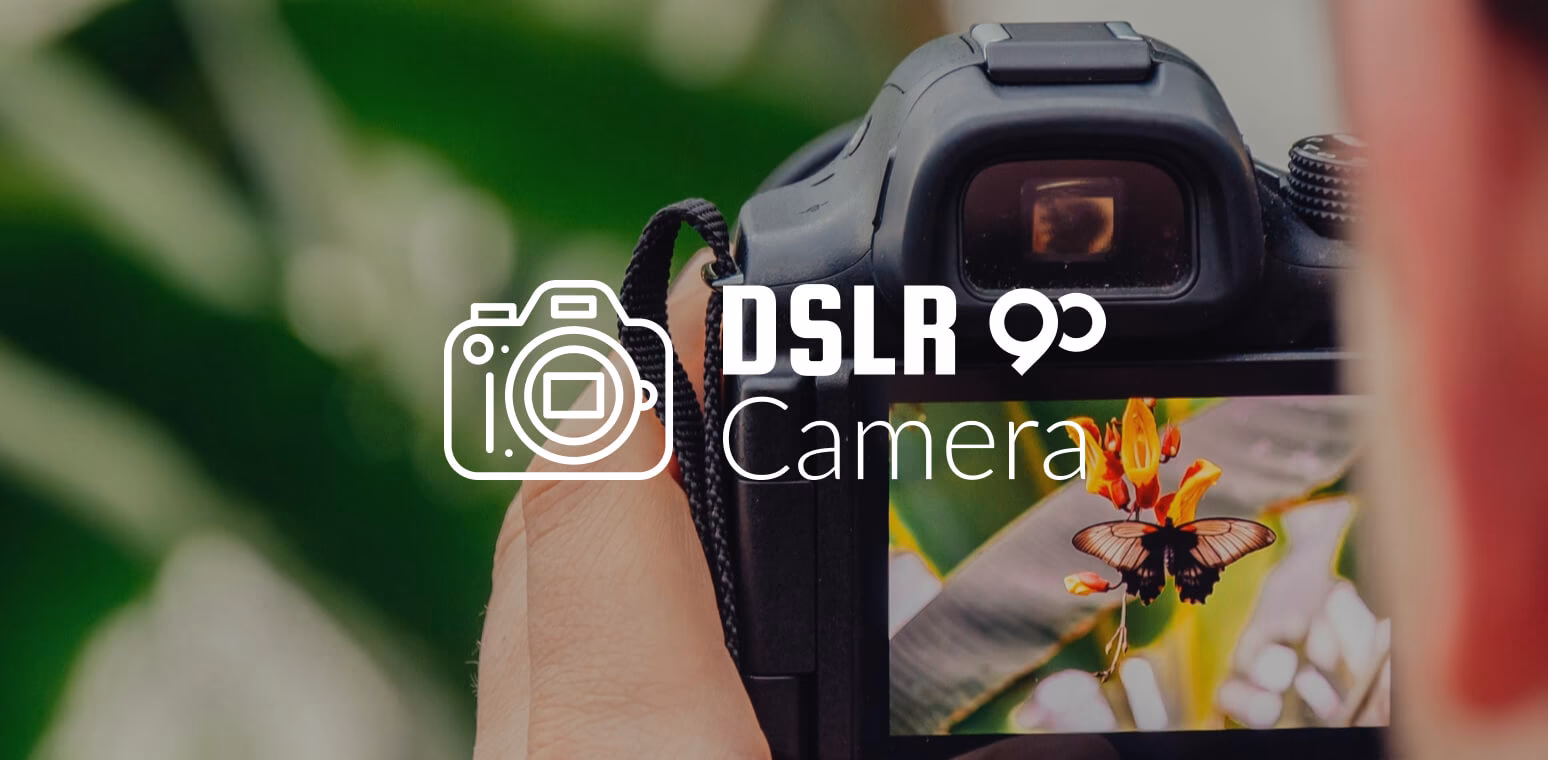 Was bedeutet SLR bei Kameras?