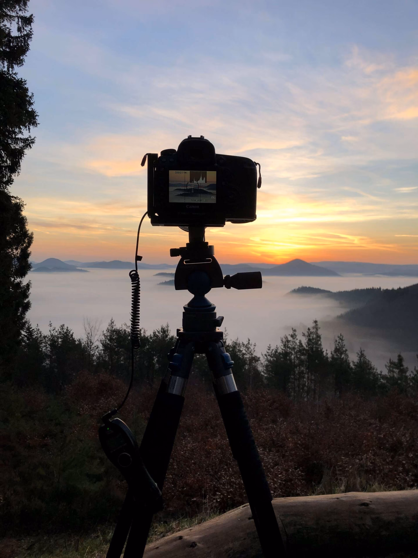 Wie viele Minuten sind 30 Sekunden Zeitraffer?